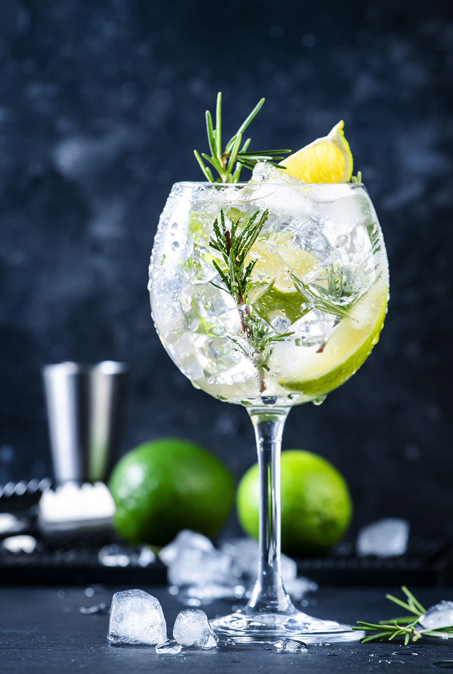 gin-tonic-web-2